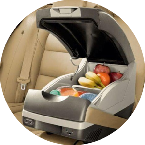 ثلاجات وسخانات السيارات